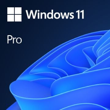 Windows 11 Pro | Nederlands - Licentie