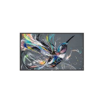 Philips 55BDL3511Q - 55" diagonale klasse (54.6" zichtbaar)